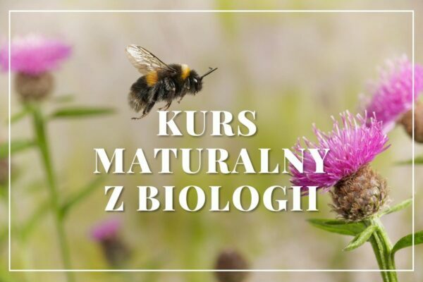 Kurs maturalny BIOLOGIA z EGZAMINATOREM OKE (od lipca 2022 roku – do maja 2023 roku)