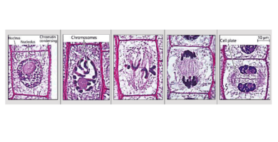 Screenshot 2022-12-22 at 23.08.34