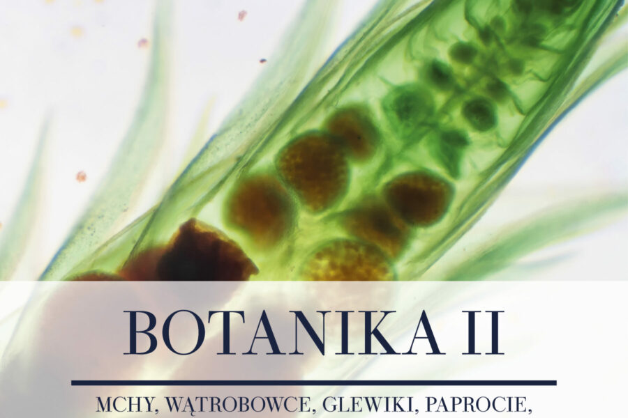 FLIPBOOK BOTANIKA II - rośliny - notatka maturalna