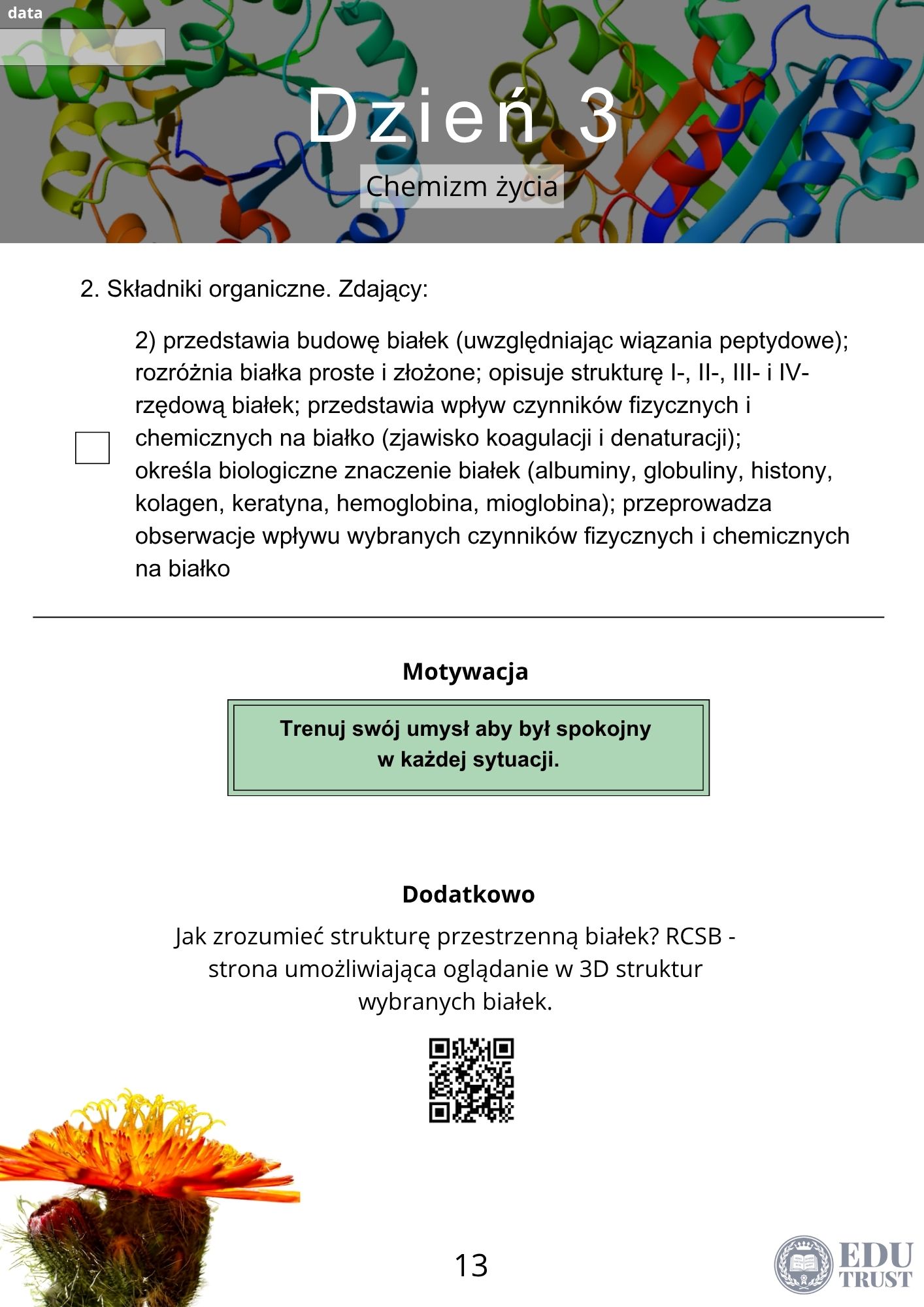 PLANER maturalny z biologii 2027 - obrazek 8