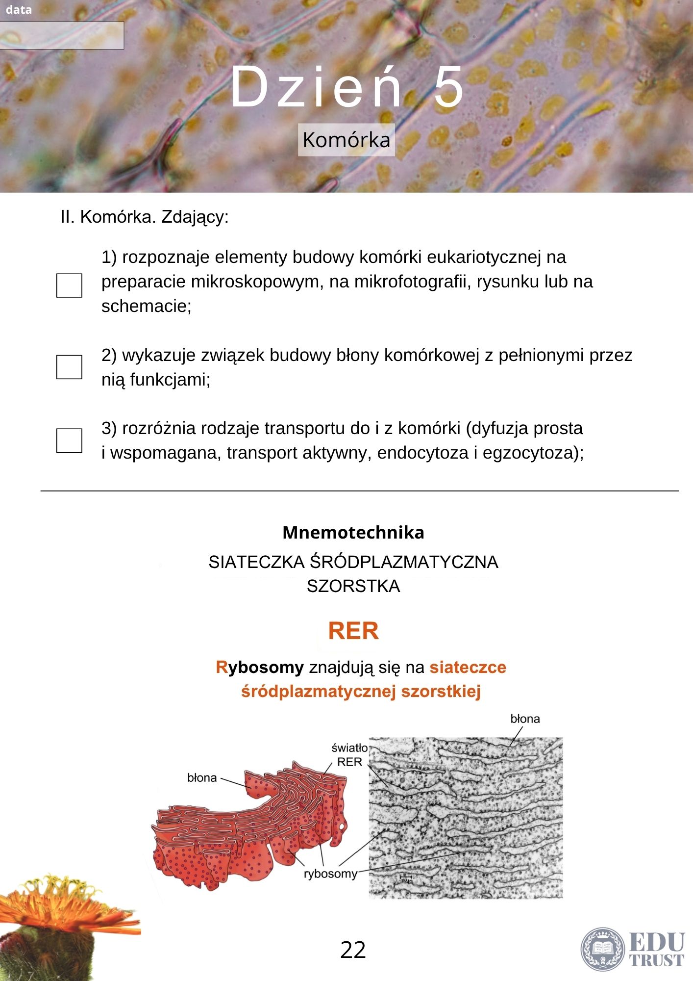 PLANER maturalny z biologii 2027 - obrazek 9