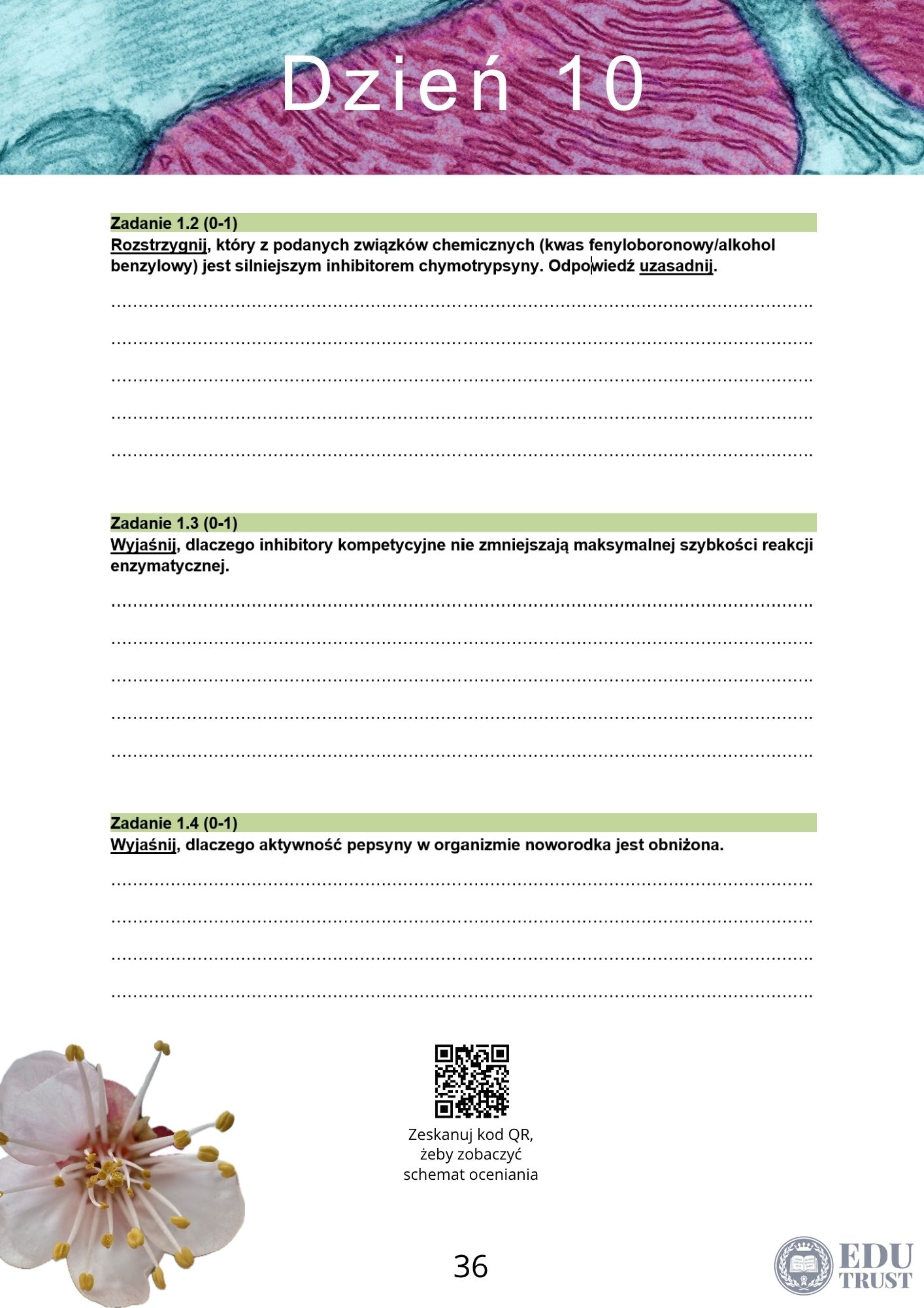 PLANER maturalny z biologii 2027 - obrazek 11