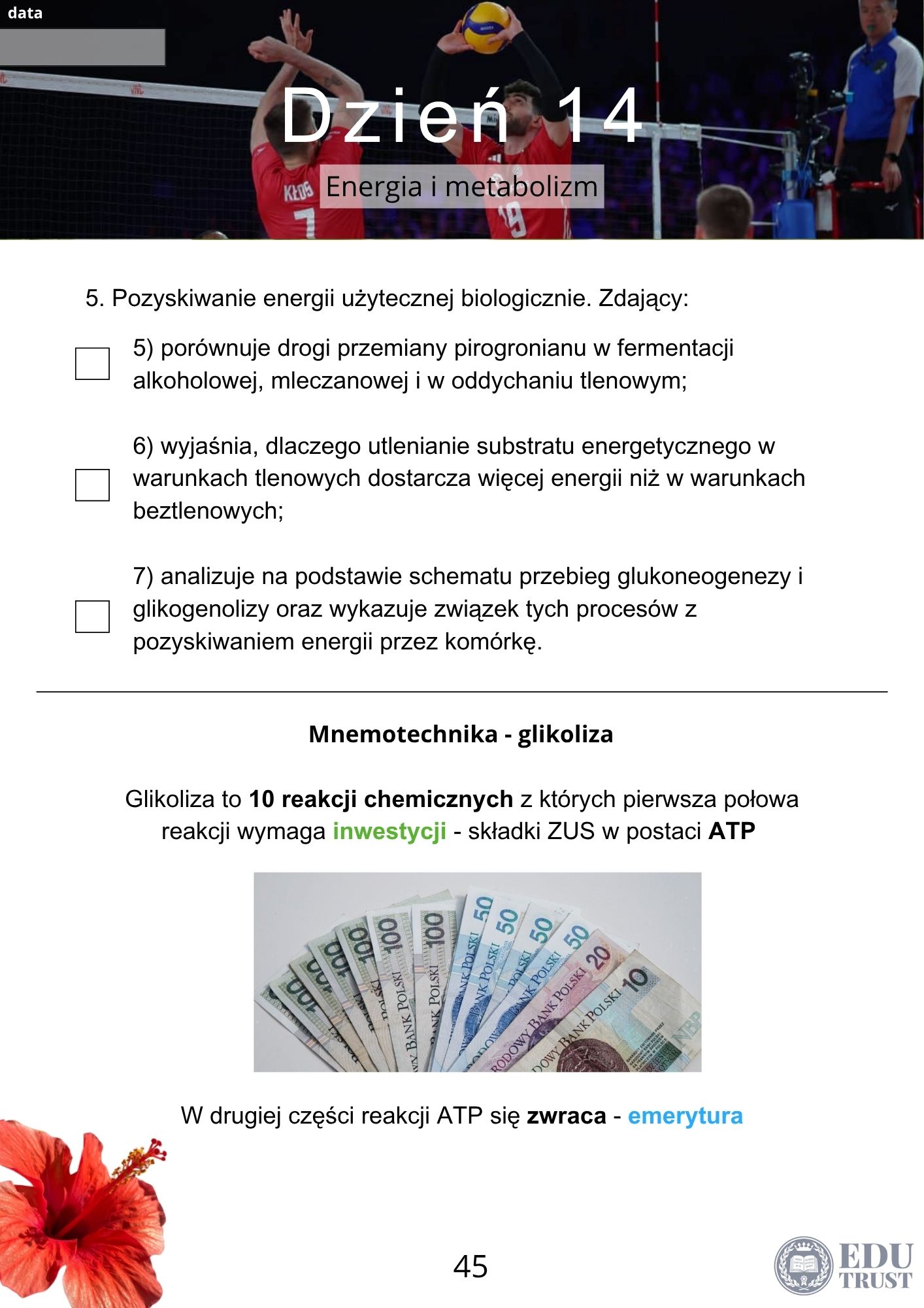 PLANER maturalny z biologii 2027 - obrazek 6