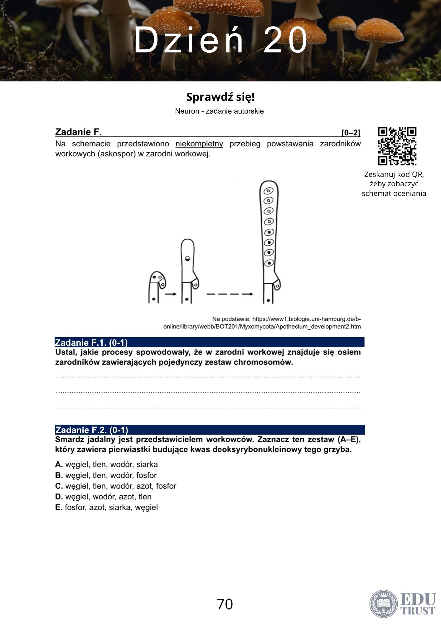 PLANER maturalny z biologii 2027 - obrazek 4