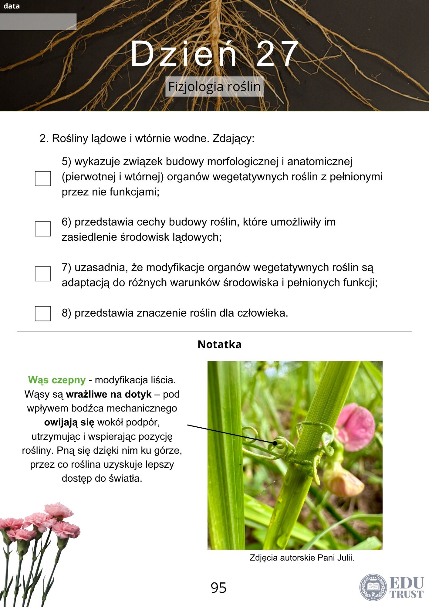 PLANER maturalny z biologii 2027 - obrazek 2