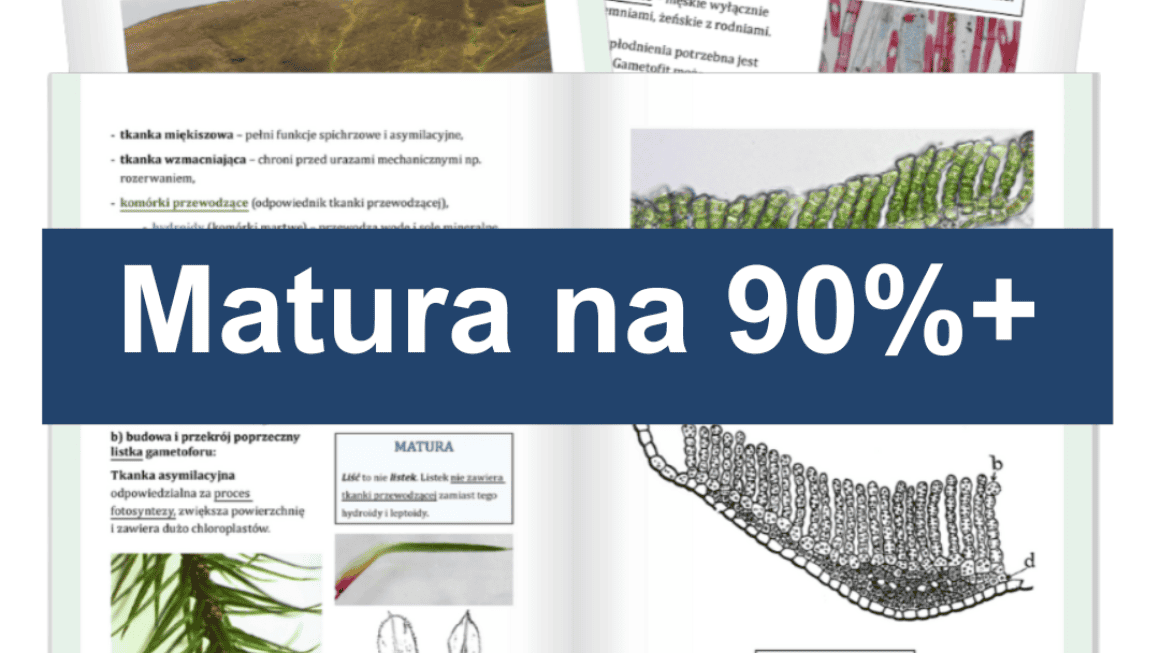 Matura na 90%+