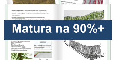 Matura na 90%+