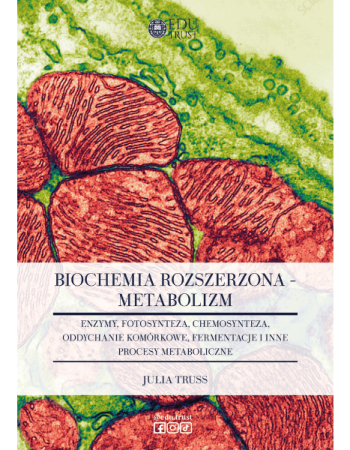 notatka z metabolizmu
